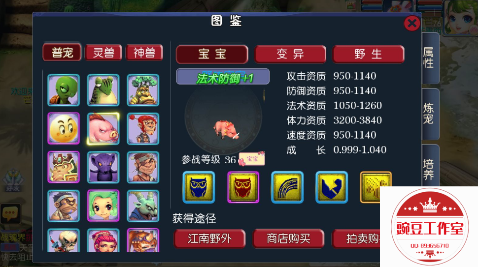 Q893656710 (7).png